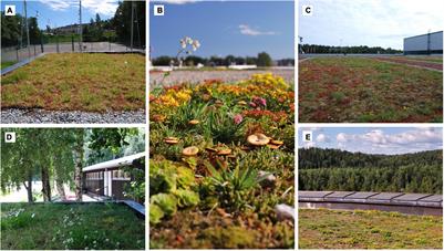 Arthropod Communities on Young Vegetated Roofs Are More Similar to Each Other Than to Communities at Ground Level